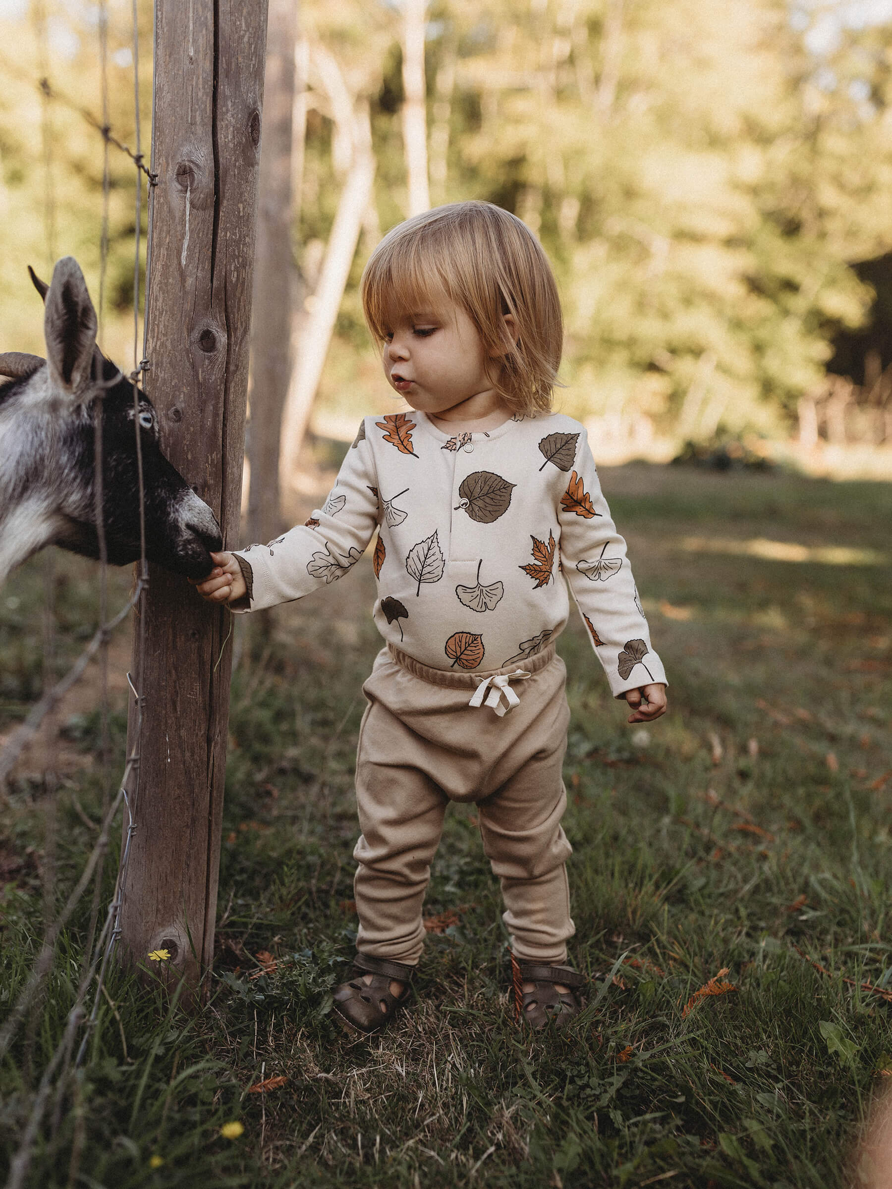 Long-sleeve Bodysuit