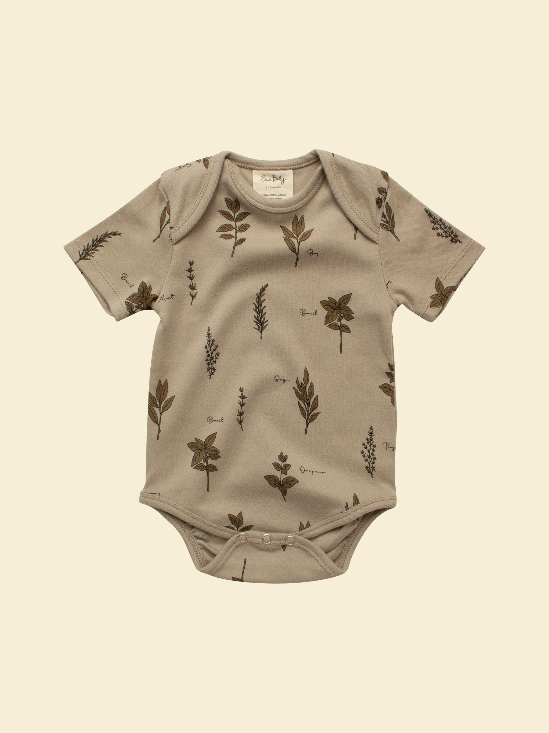 Organic Cotton Baby Short-sleeve Bodysuit | Herb 